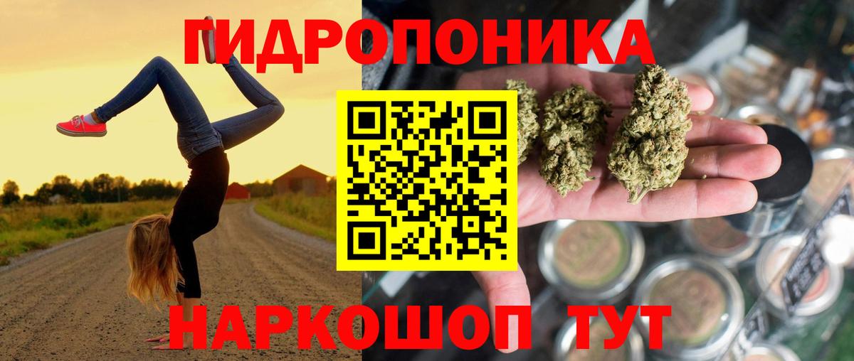 Рыбинск  Бошки марихуана SATIVA & INDICA  Вход с VPN  Шишки марихуана VHQ 